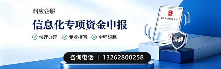 渭南信息化专项资金申报服务