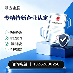 渭南专精特新企业申报服务