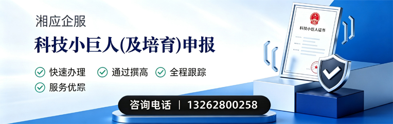 渭南科技小巨人及培育企业申报服务