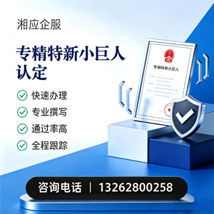 渭南专精特新小巨人申报服务