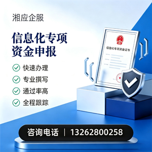 渭南信息化专项资金申报服务