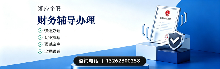 渭南财务辅导申请服务