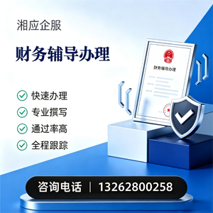 渭南财务辅导申请服务