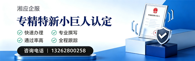 渭南专精特新小巨人申报服务